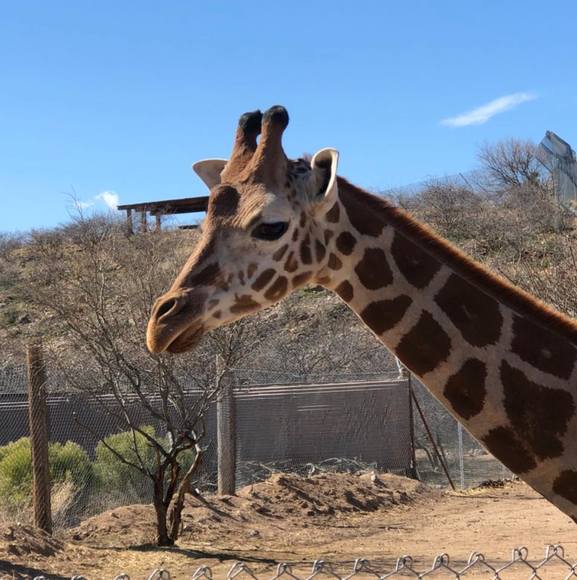 Meet your Posher, Anita - Picture 1 of 1